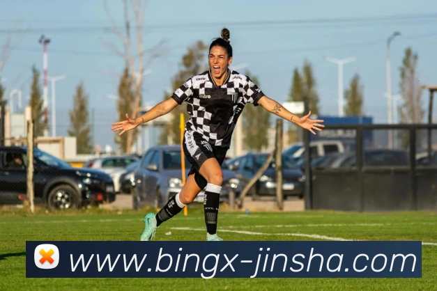 金沙娱乐平台生态图